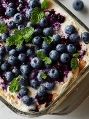 Homemade blueberry tiramisu with fresh berries and mint.