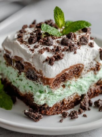 No bake mint chip lasagna dessert with cookie crust and mint layers